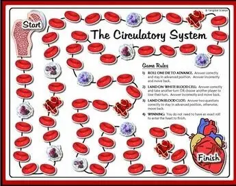 Circulatory system cover photo