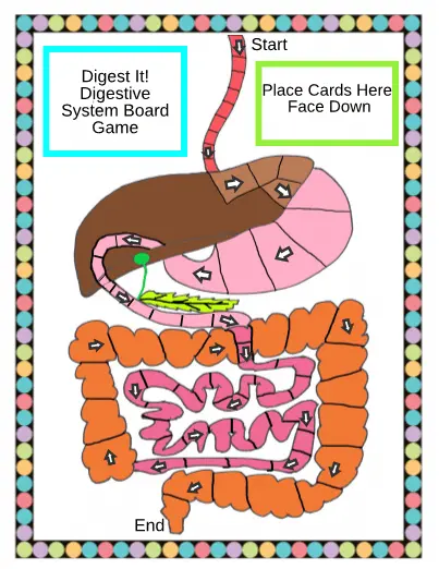 Digestive system cover photo