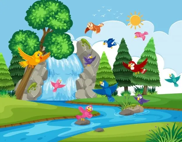 Grade 8 Computer Software cover photo