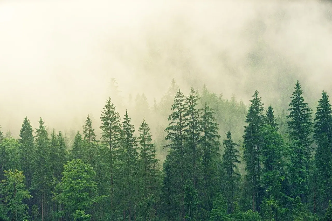 Test Your Knowledge cover photo