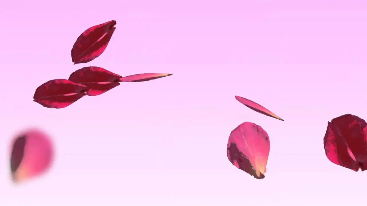 Present Simple & Present Continuous cover photo