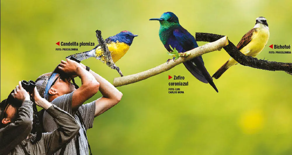 Bird girl (youth 5) cover photo