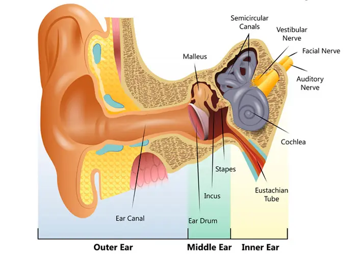 Hearing Conservation Awareness cover photo