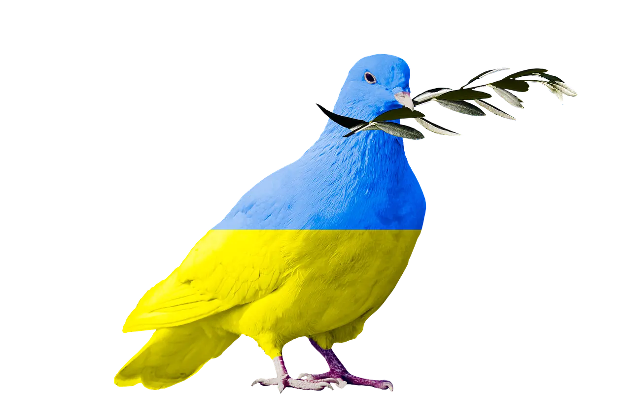 Vocabulary  cover photo