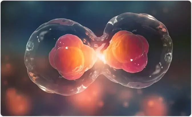 Endosymbiosis and Cell Division cover photo