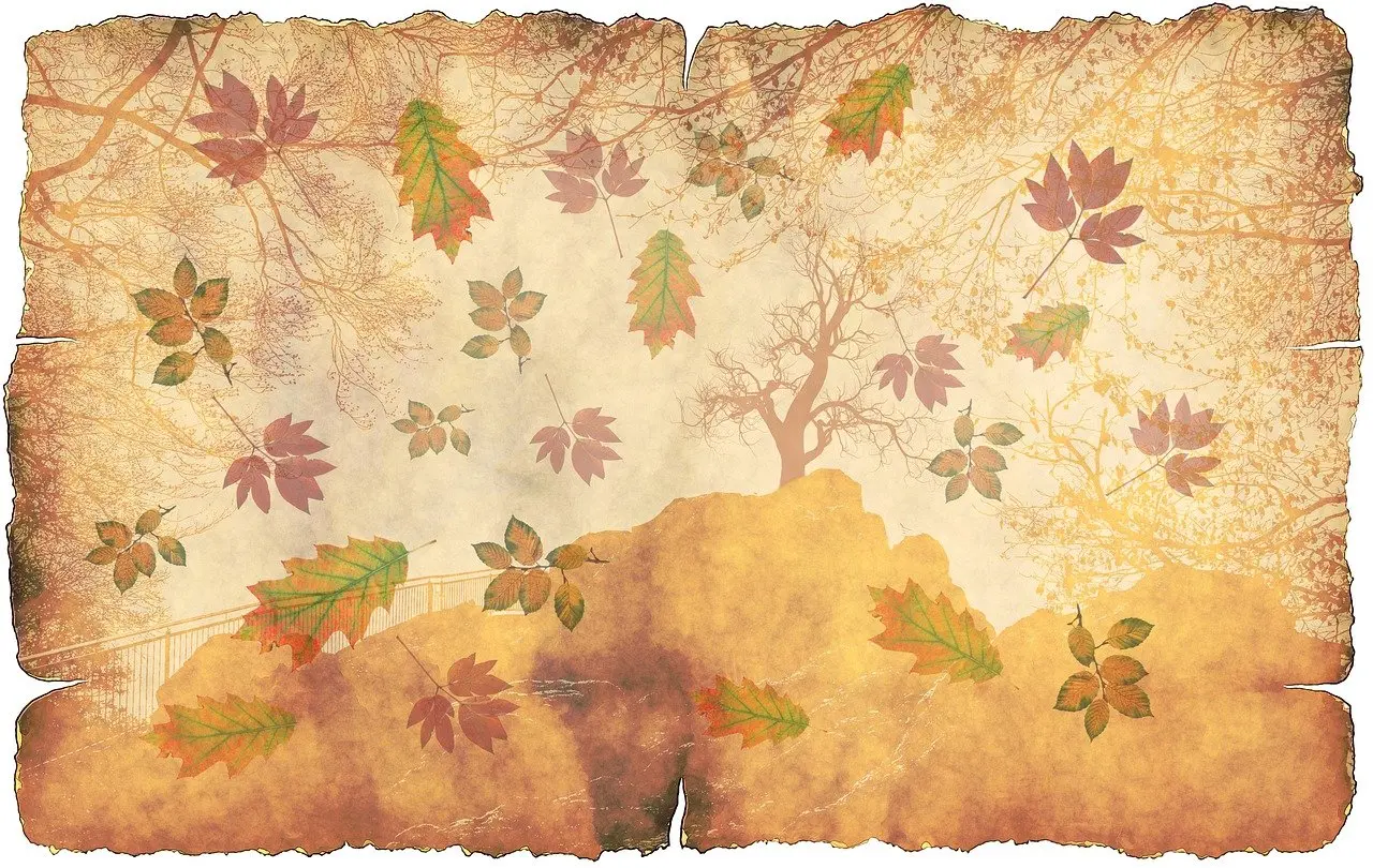 Test cover photo