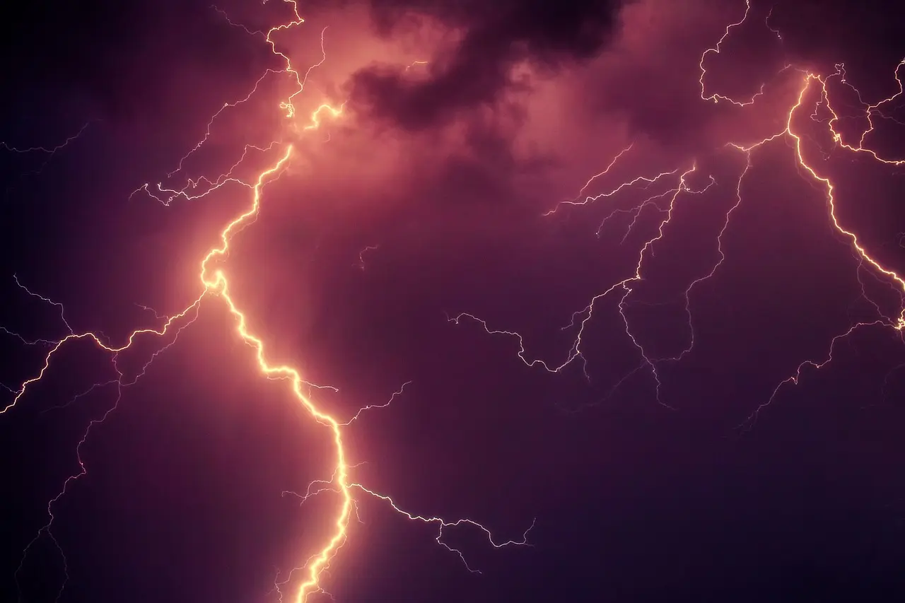 5-1 Electric Fields cover photo