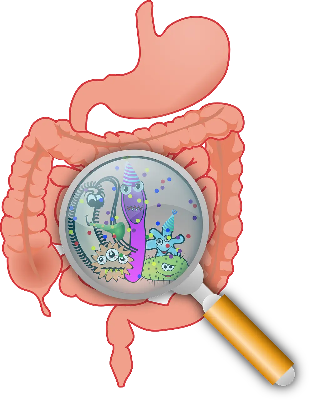 F3 Digestive system  cover photo