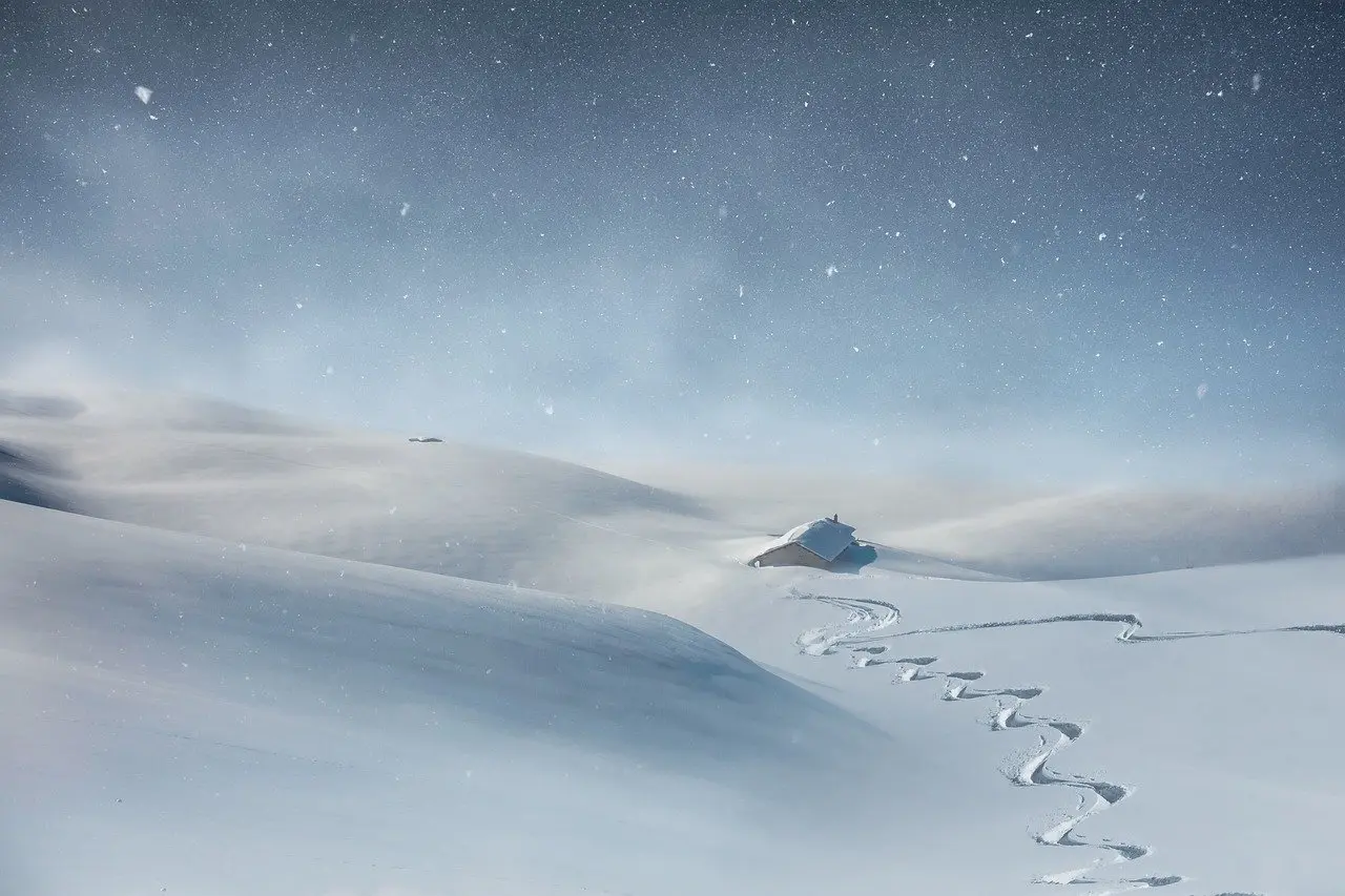 ورشة إعادة الروابط العائلية  cover photo