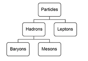 Particle revision y13 cover photo