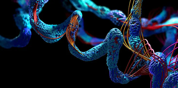 BIO 024 LEC - Enzymes cover photo