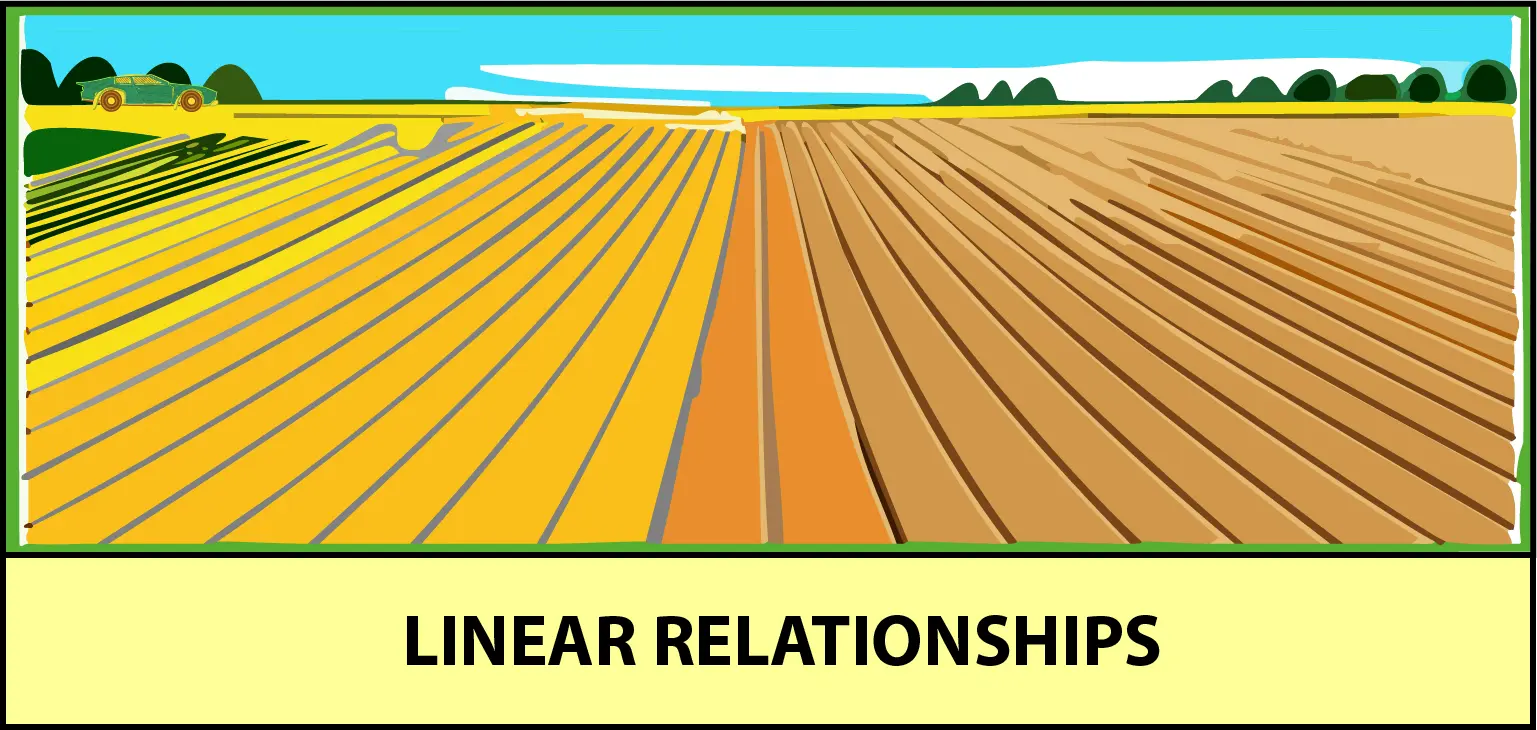 Linear Relationship - Slope,graph and lines cover photo