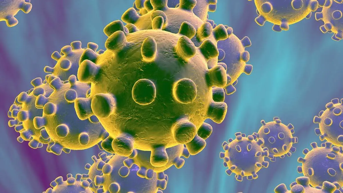 CSD1018 Review - Kill the coronavirus cover photo