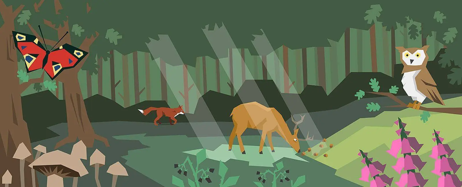 Surviving with Animal Adaptations cover photo