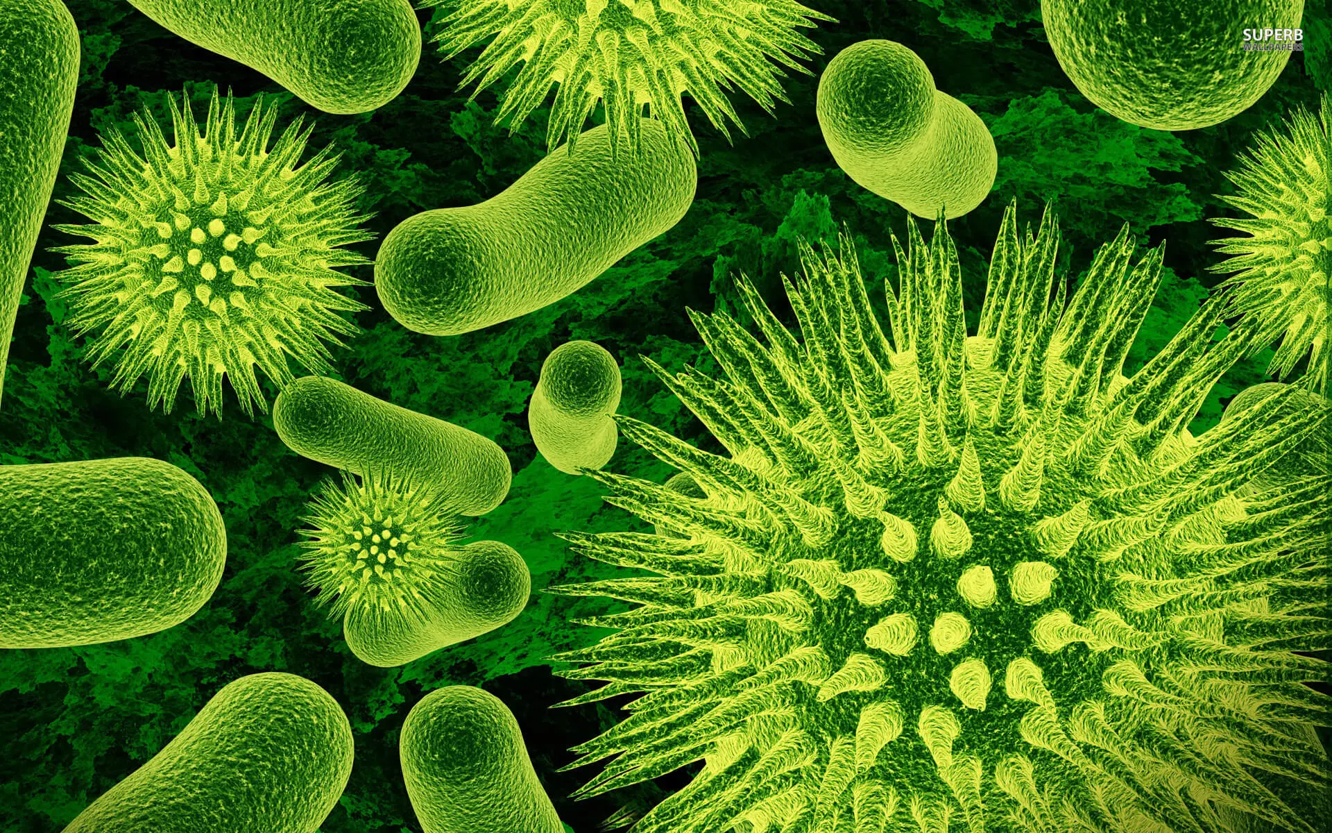 Responding to Antigens 1 cover photo